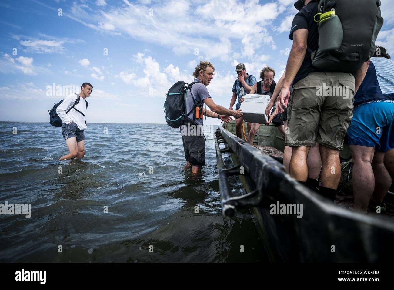 2022-09-06 14:05:21 GRIEND – Mitarbeiter der Fieldwork Company kehren zurück, nachdem sie ein landschaftlich gestaltetes Seegrasfeld in der Nähe von Griend besucht haben. Im Frühjahr ließ Rijkswaterstaat 700.000 Seegrassamen im Wattenmeer aussäen. Seegrasbetten gehören zu den produktivsten Ökosystemen der Welt, waren aber in den Niederlanden fast vollständig verschwunden. ANP SIESE VEENSTRA niederlande Out - belgien Out Stockfoto