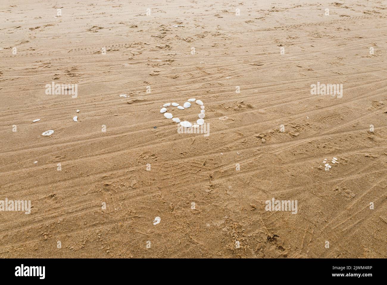 Herz aus Muscheln am Strand. Ferienliebhaben-Konzept Stockfoto