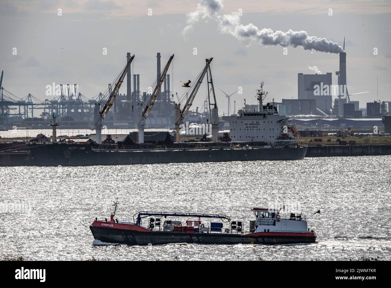Europoort Hafen Rotterdam, Tanker, Bunkerschiff Schieplus, Skyline Maasvlakte 2, Stockfoto
