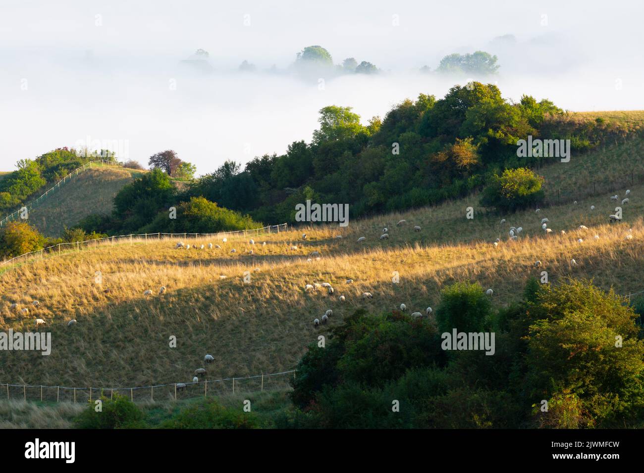 Neblige ländliche Landschaft der Region Turiec, Slowakei. Stockfoto