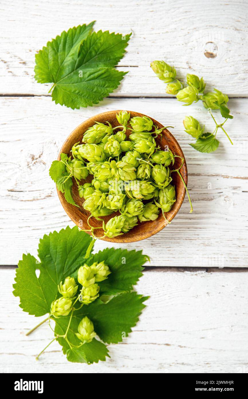 Gepflückt pflanzliche Heilpflanze Humulus lupulus, der gemeinsame Hopfen oder Hopfen. Hopfenblumen in Holzschüssel auf weißem Holz Hintergrund, innen zu Hause. Flache Lay-Ansicht Stockfoto