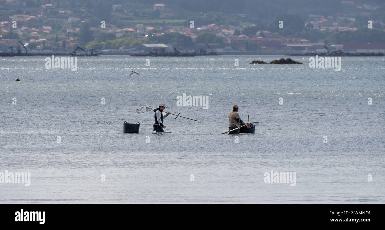 Ein Mann und eine weibliche Muschelsammler gehen am Strand entlang, um sich darauf vorzubereiten, Muscheln und Muscheln mit ihrem Rechen am Strand zu sammeln. Boiro Beach. Stockfoto