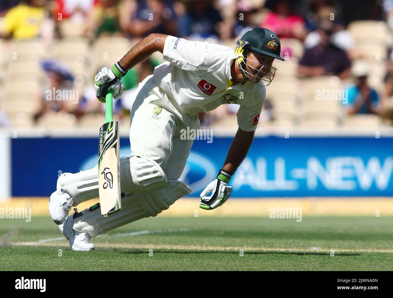 Ricky Ponting aus Australien läuft am ersten Tag des vierten Cricket-Tests zwischen Australien und Indien im Adelaide Oval, Dienstag, 24. Januar 2012, schnell zwischen den Wickets. (AAP-Bild/Ben MacMahon) Stockfoto