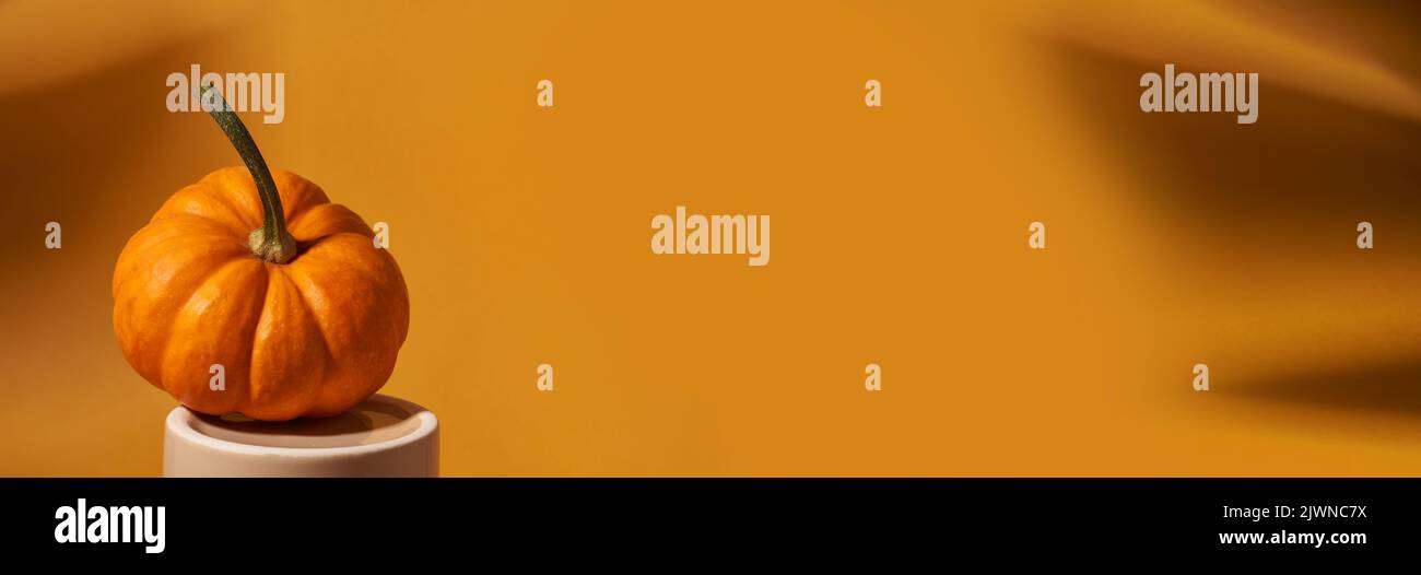 Banner. Ein orangefarbener Kürbis auf einem Porzellanpodest. Orangefarbener Hintergrund mit einem Schatten von einem Monsterblatt. Mit Platz zum Kopieren. Hochwertige Fotos Stockfoto