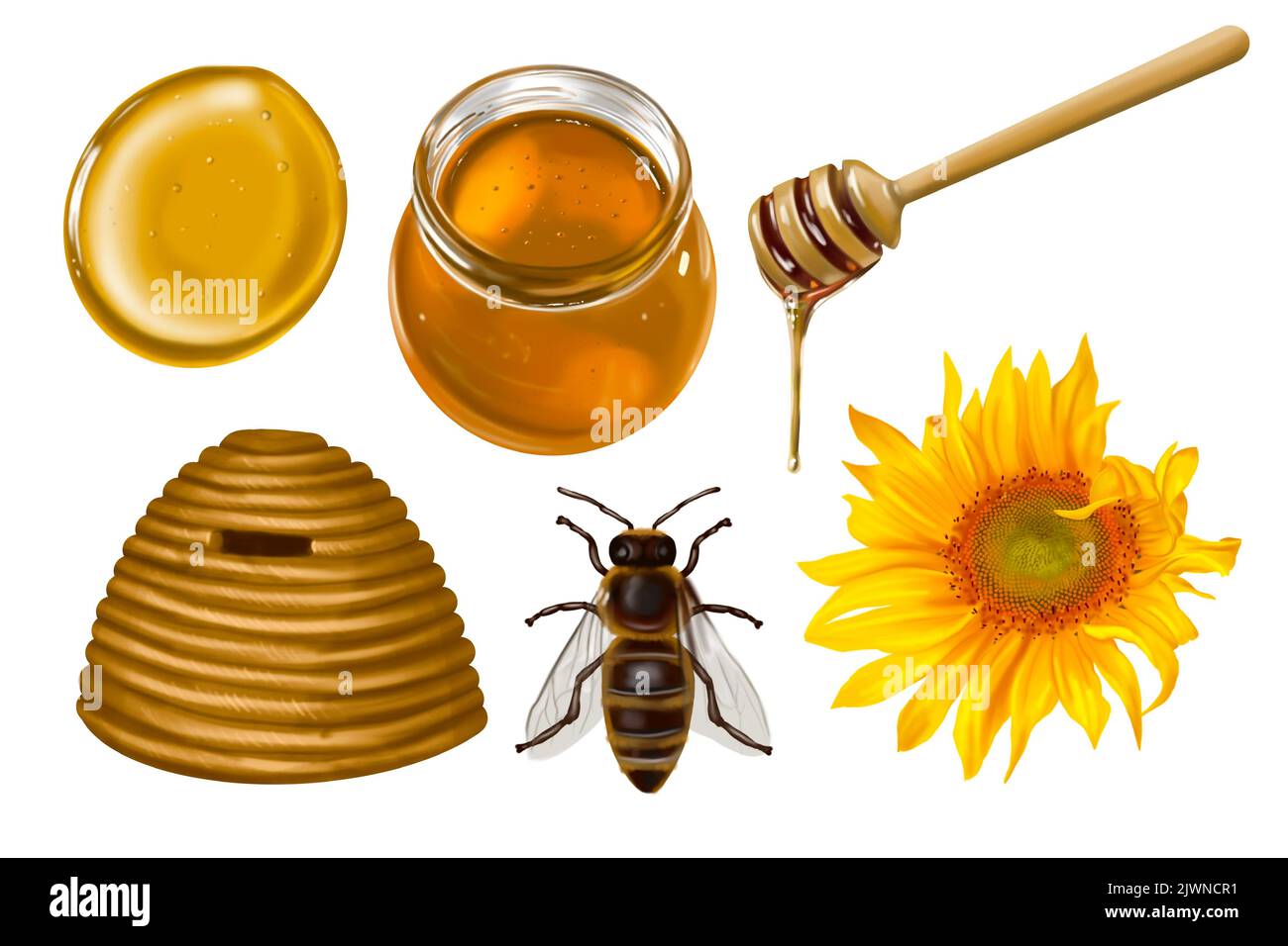 Aquarellsatz. Honig, Bienen, Wildblumen, Honiglöffel, Honiggläser. Illustration der Honigsammlung Stockfoto