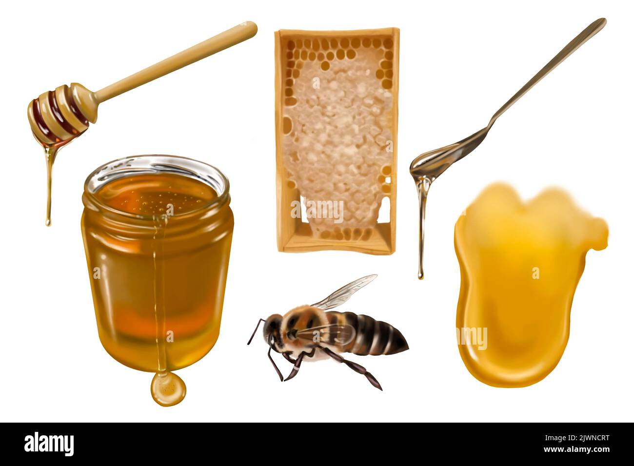 Aquarellsatz. Honig, Bienen, Wildblumen, Honiglöffel, Honiggläser. Illustration der Honigsammlung Stockfoto