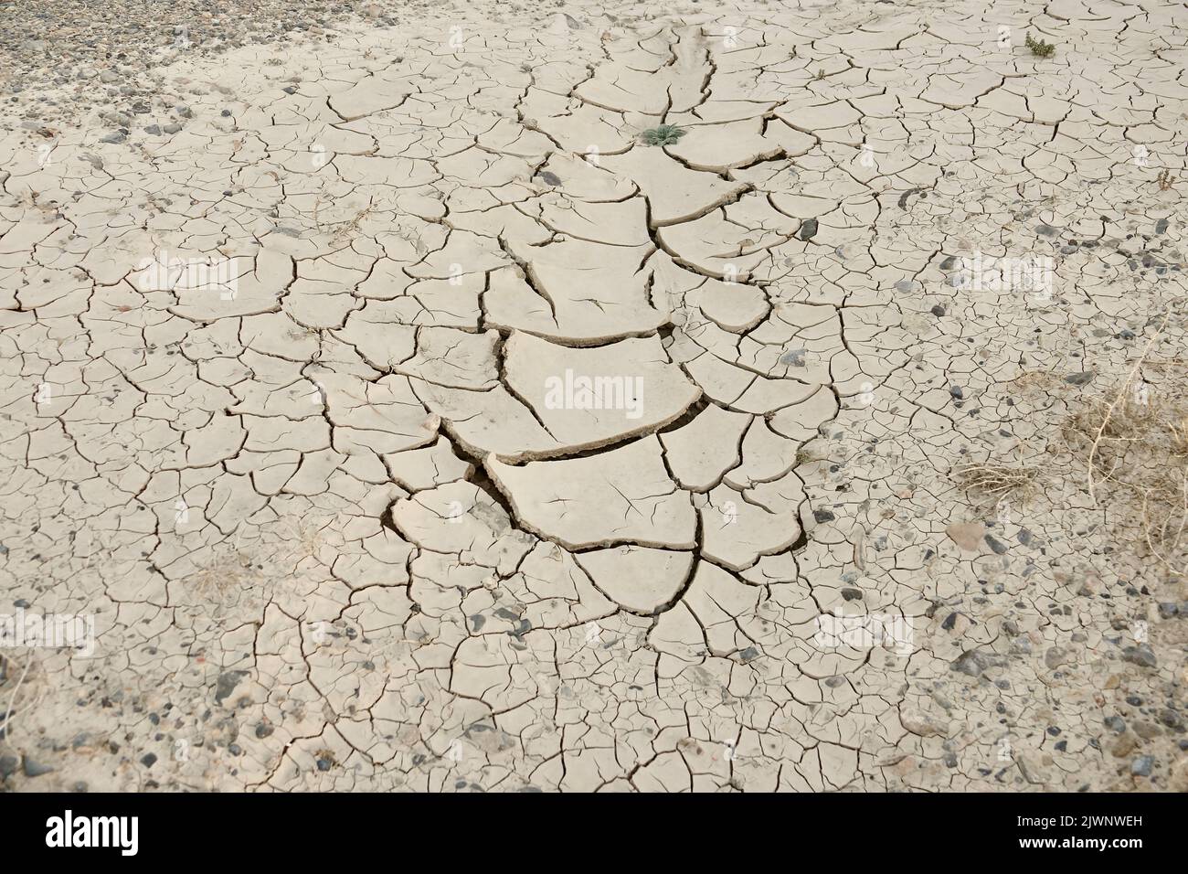 Ausgetrocknetes Bachbett in der Wüste Stockfoto