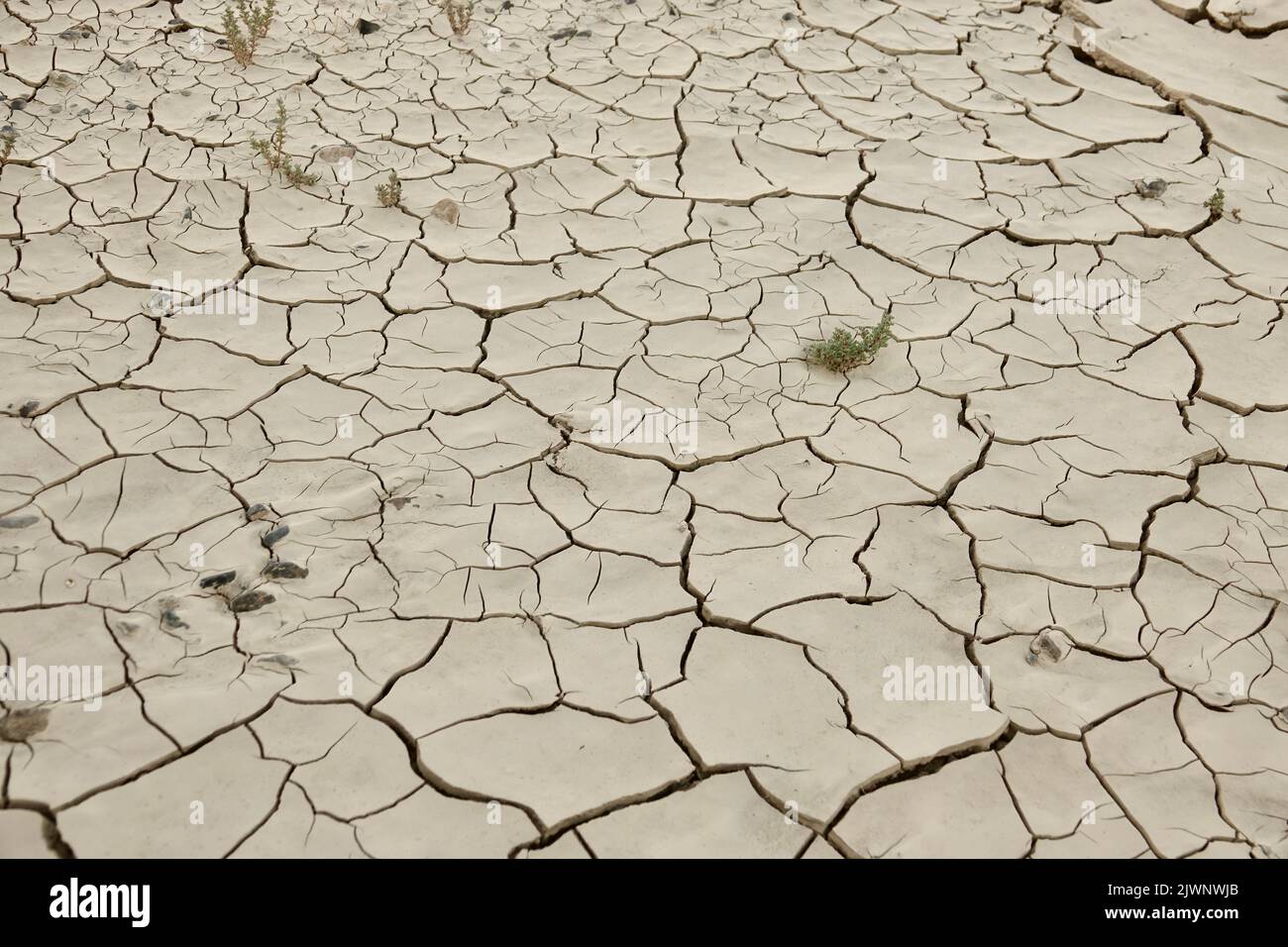 Trockenheit und extreme Hitze in der Wüste Stockfoto