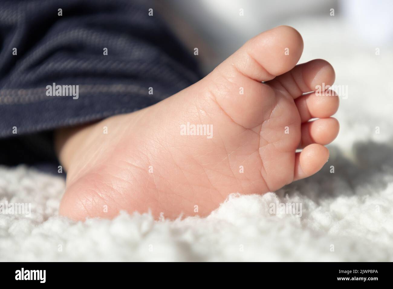 Fußsohle eines Babys im Studio, Details der Haut, Finger eines neuen Familienmitglieds, Körperteile, Konzept der Unschuld und Kindheit Stockfoto