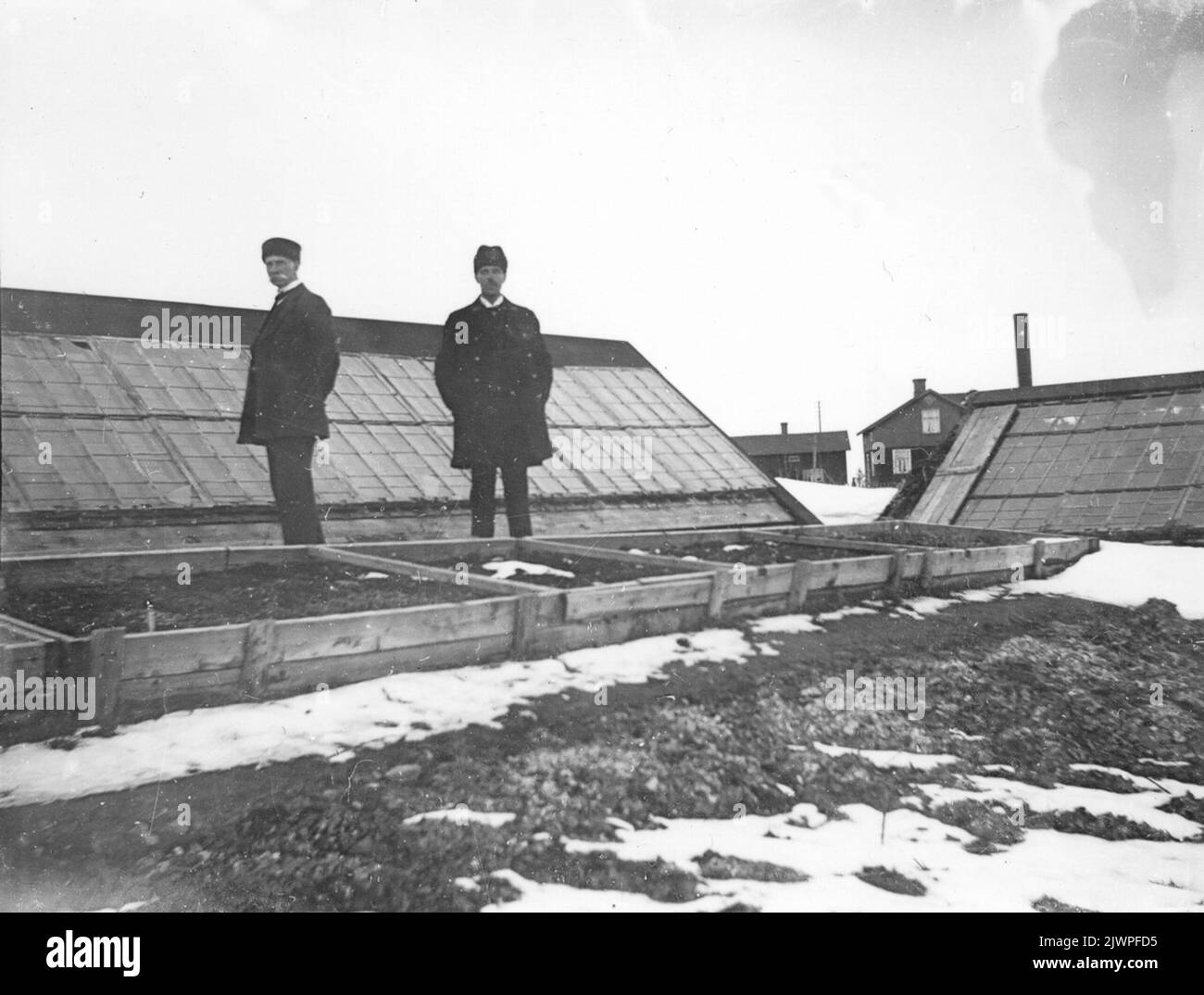 Gewächshaus in Storvik um 1917. Växthus i Storvik omkring 1917. Stockfoto