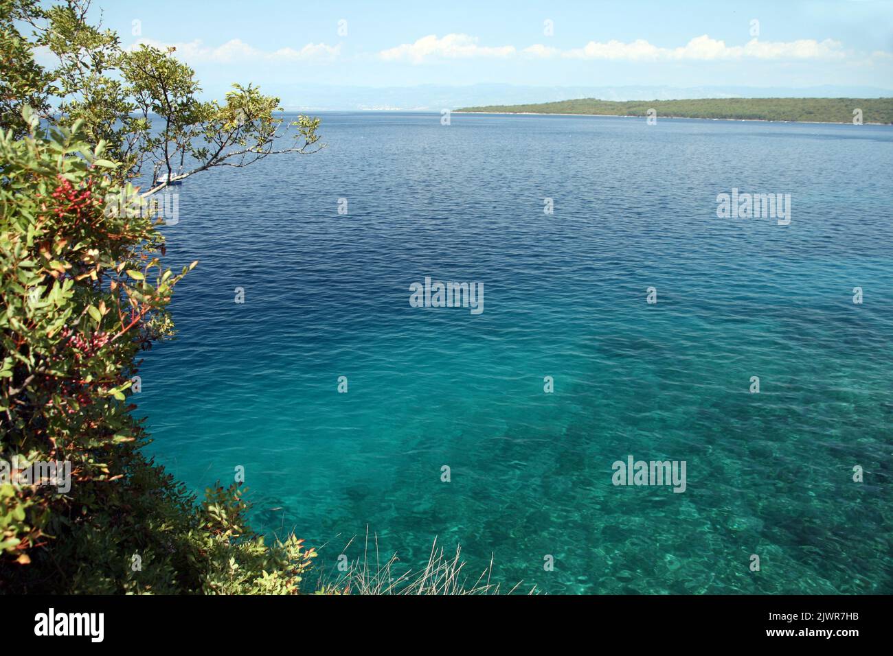 Felsküste in Kroatien mit einem Körper aus blauem Wasser - rechte Seite für Kopierraum Stockfoto