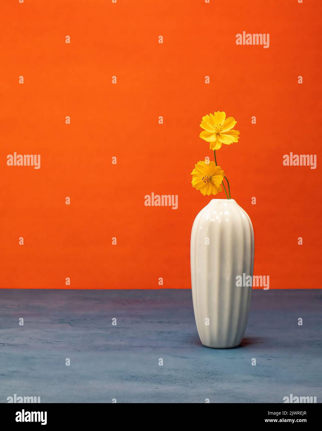 Minimalistisches Stillleben mit gelben Wildblumen in einer weißen Vase mit blauer Basis und orangefarbenem Hintergrund. Stockfoto