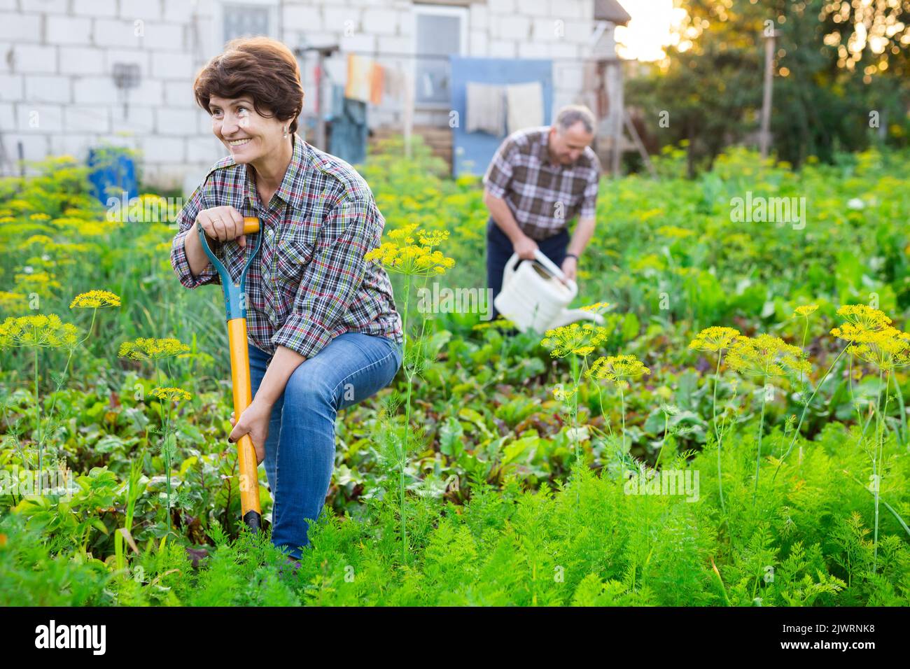 Porträt eines glücklichen älteren Paares, das im Garten arbeitet Stockfoto