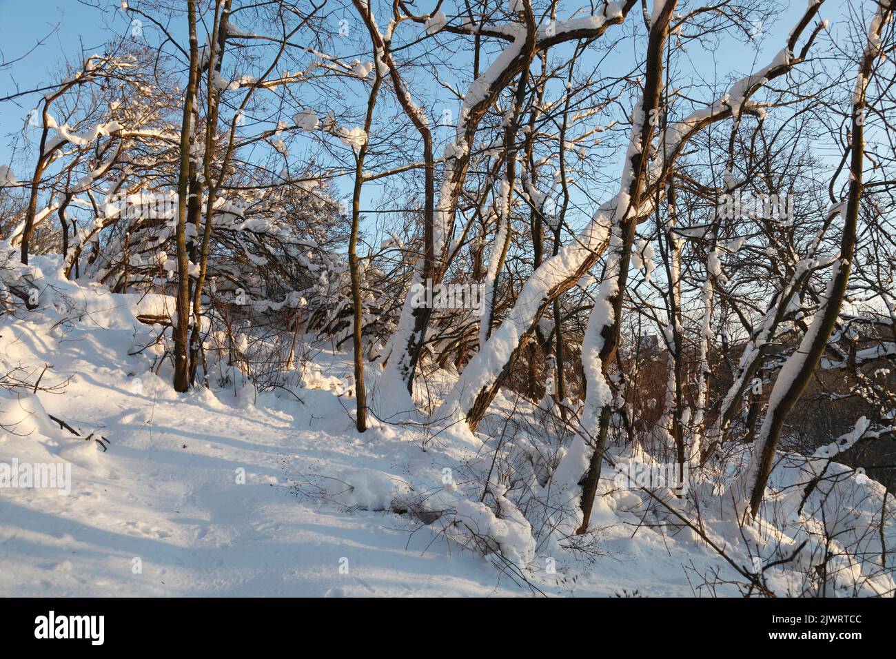 Klausberge in Halle Saale im Winter (Februar 2021) Stockfoto
