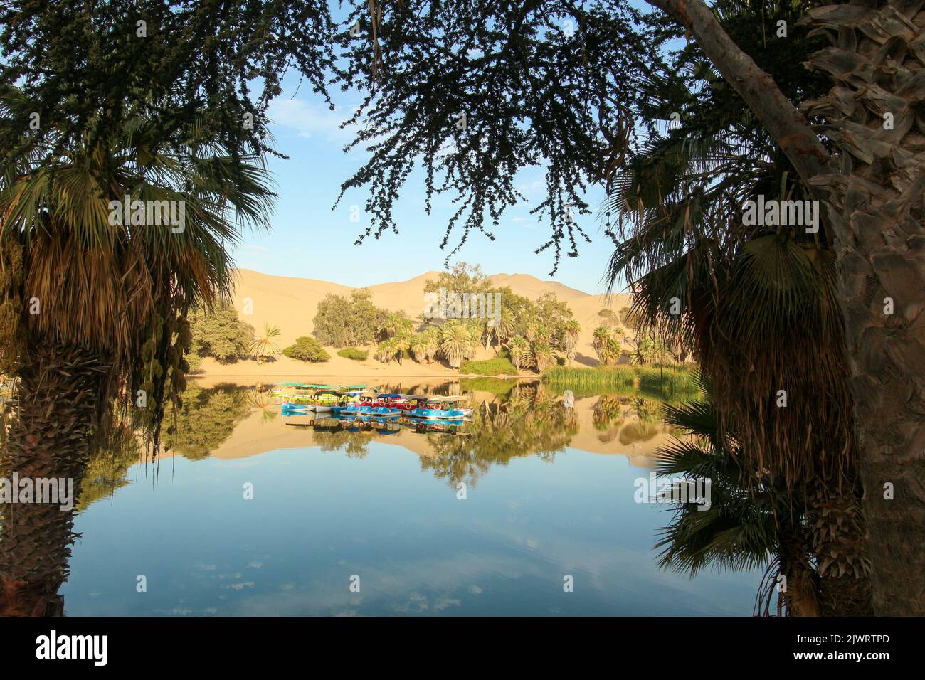 Huacachina - eine Oase mitten in der peruanischen Wüste, Blick auf Palmen und eine Lagune mit Booten und Sanddünen im Hintergrund. Stockfoto