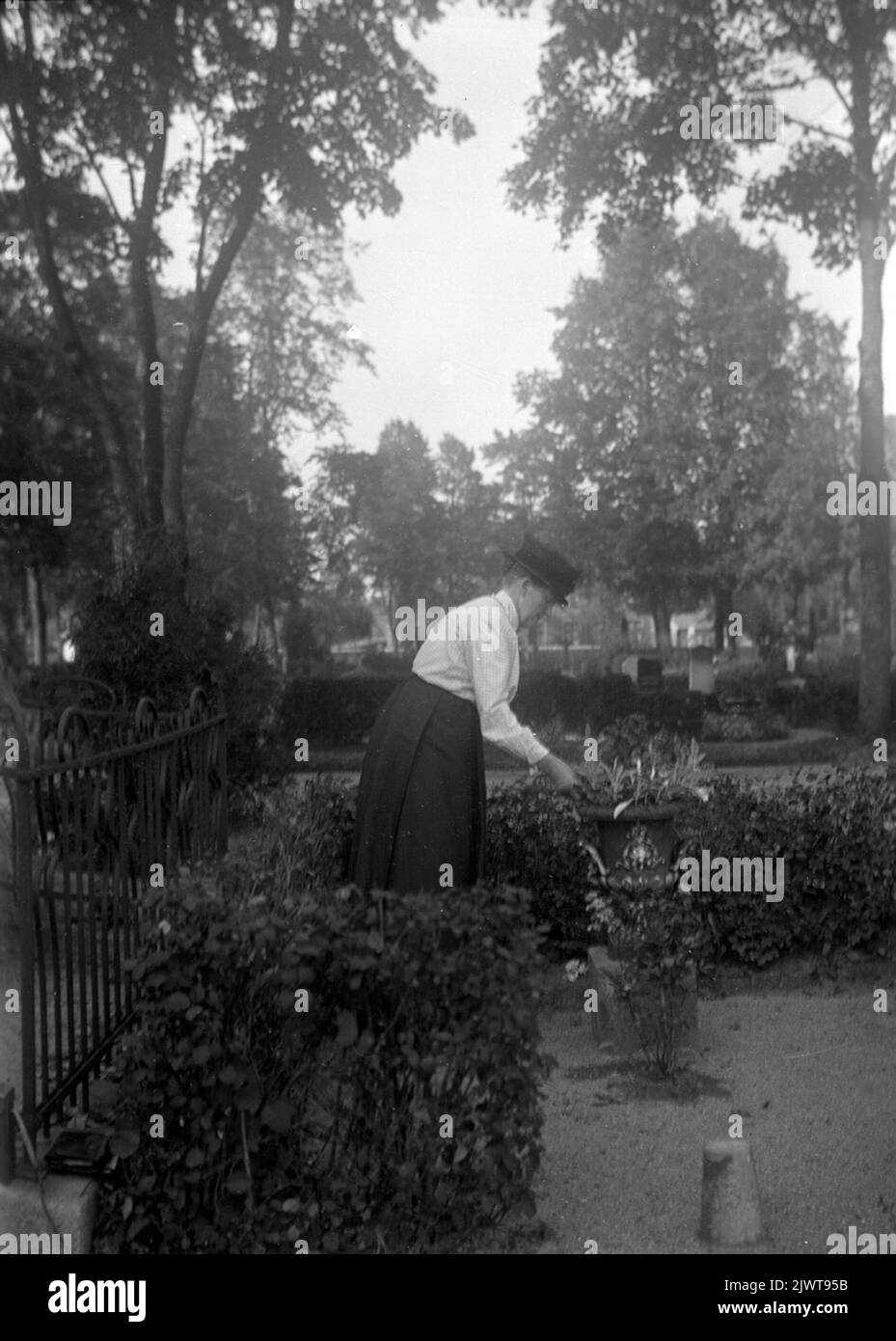 Elna Brundins Mutter Anna Larsdotter Olsson am Familiengrab, wo sie sich um das Grab ihres Mannes kümmert. Er starb sehr früh, 51 Jahre alt, 1896 Jahre alt. In der Mitte des Grabes steht eine eiserne Urne, die von Lars Olssons Bruder Axel bei Hans Gjuteri Skoglund & Olsson, Gamla Kyrkogatan in Gävle, angefertigt wurde. Elna Brundins mor Anna Larsdotter Olsson vid familjebraven, där hon sköter om sin mans grav. Han Dog ganska tidigit, 51 år gammal, 1896. Mitt på graven står en urna i järn, gjord AV Lars Olssons bror Axel på hans gjuteri Skoglund & Olsson, Gamla kyrkogatan i Gävle. Stockfoto