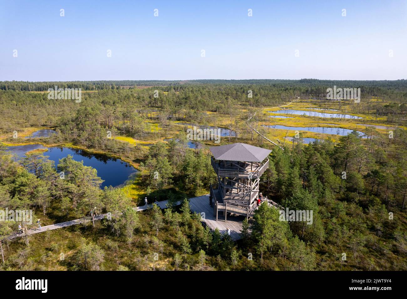 Viru-Moor in Estland, in der Nähe von Tallinn Stockfoto