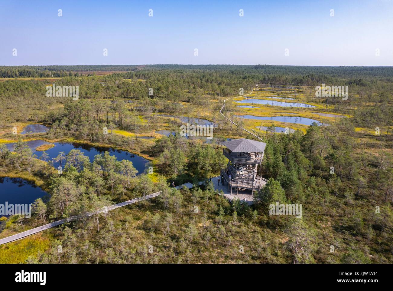 Viru-Moor in Estland, in der Nähe von Tallinn Stockfoto