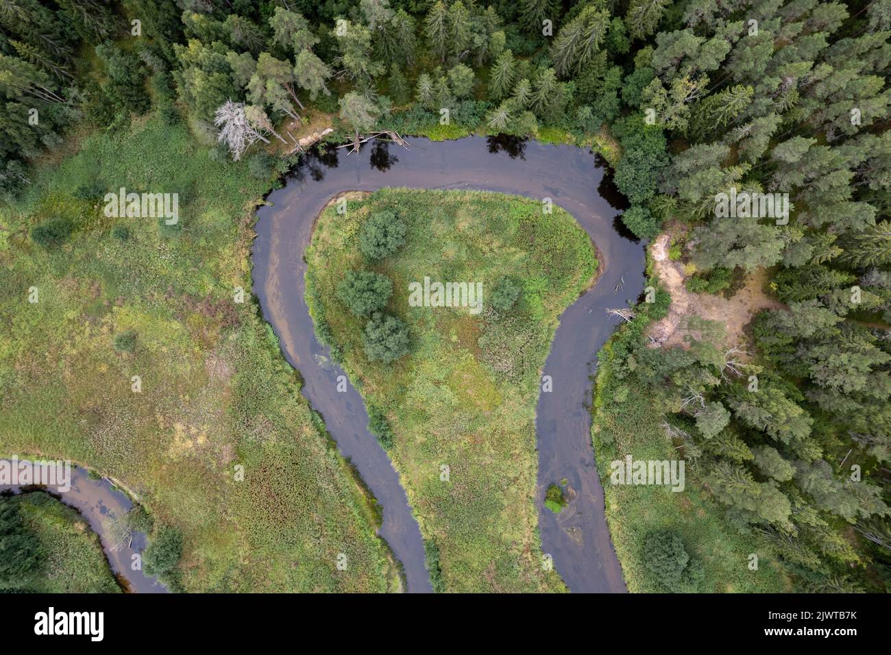 Mäanderender Fluss im Norden Estlands Stockfoto