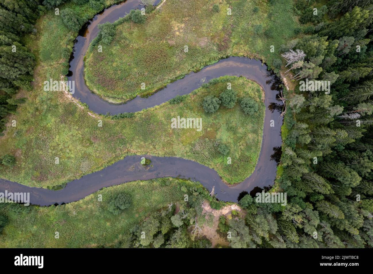 Mäanderender Fluss im Norden Estlands Stockfoto