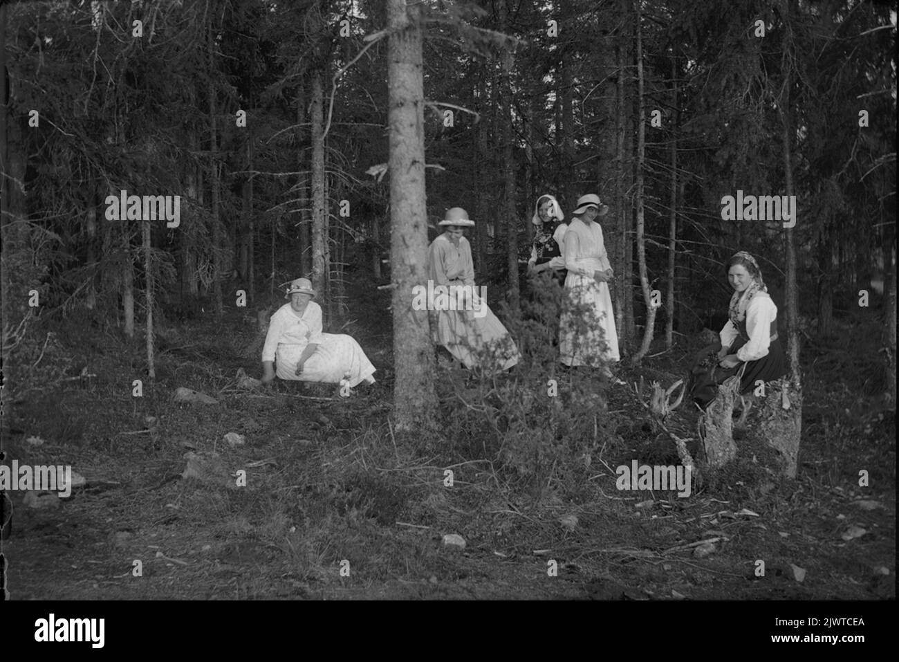 Schweden, Gästrikland, Gävleborg (abgebildet, Ort) Sverige, Gästrikland, Gävleborg (Avbildad, Ort) Stockfoto