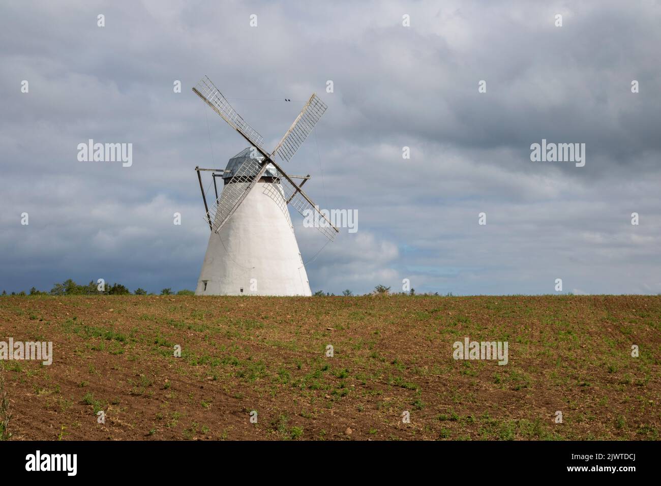 Eine Windmühle auf einem Feld in Estland Stockfoto