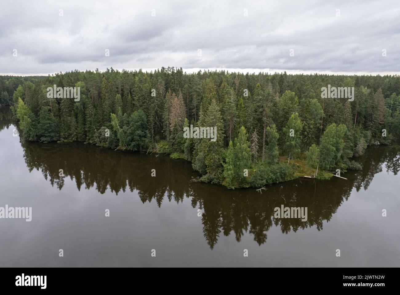 Ein Waldsee von oben in Estland Stockfoto