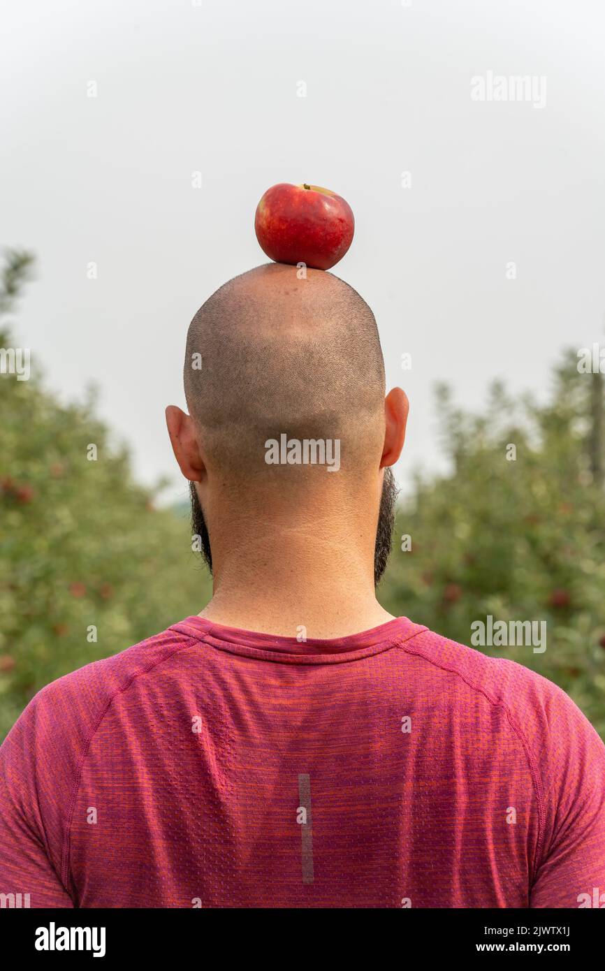 Rückansicht eines kahlen Mannes mit rotem Apfel auf dem Kopf Stockfoto