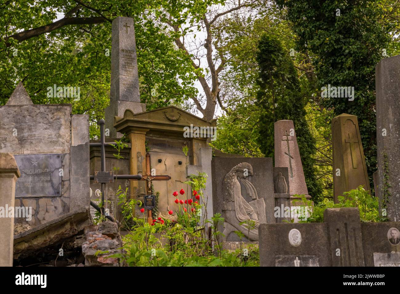 Lemberg, Ukraine Stockfoto