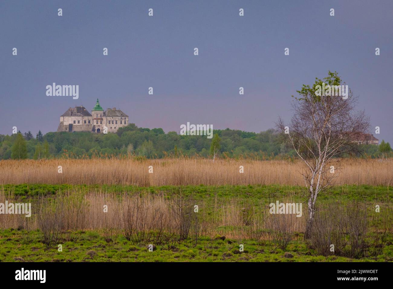 Podhorce Schloss in Lviv Region, Ukraine Stockfoto