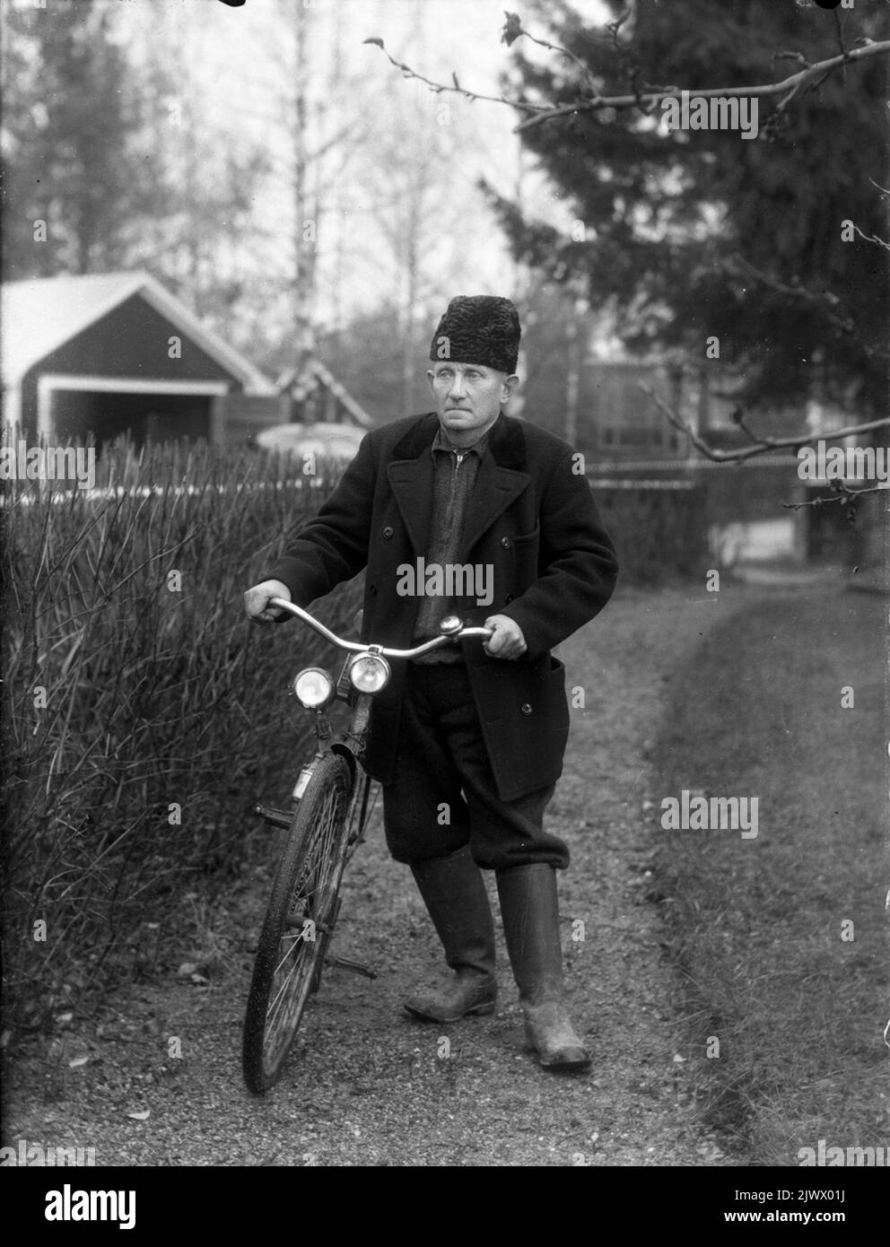 Onion-Åberg“. „Lök-Åberg“. Stockfoto