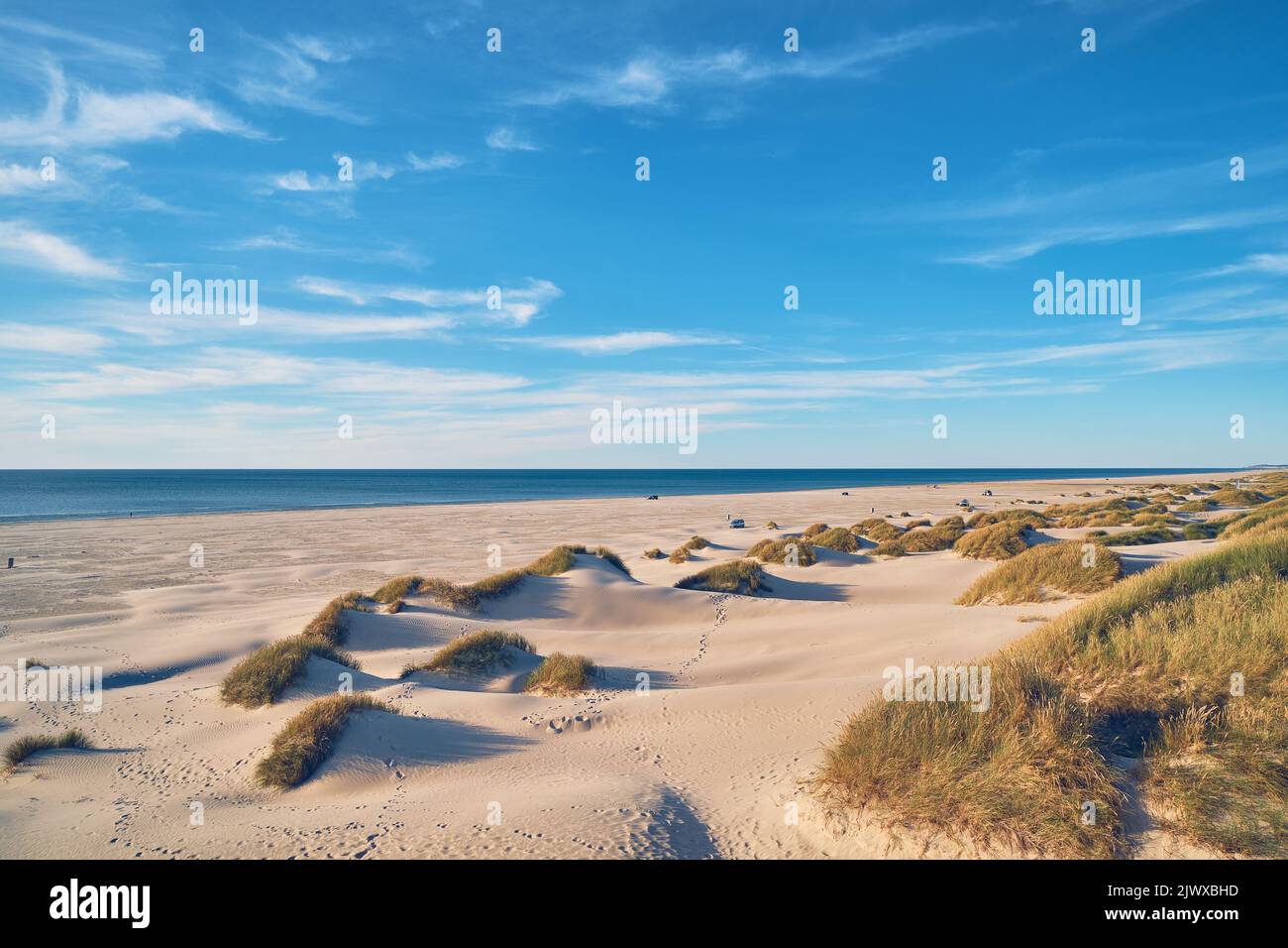 Beach Gras und Dünen am Jammerbugt in Dänemark. Hochwertige Fotos Stockfoto