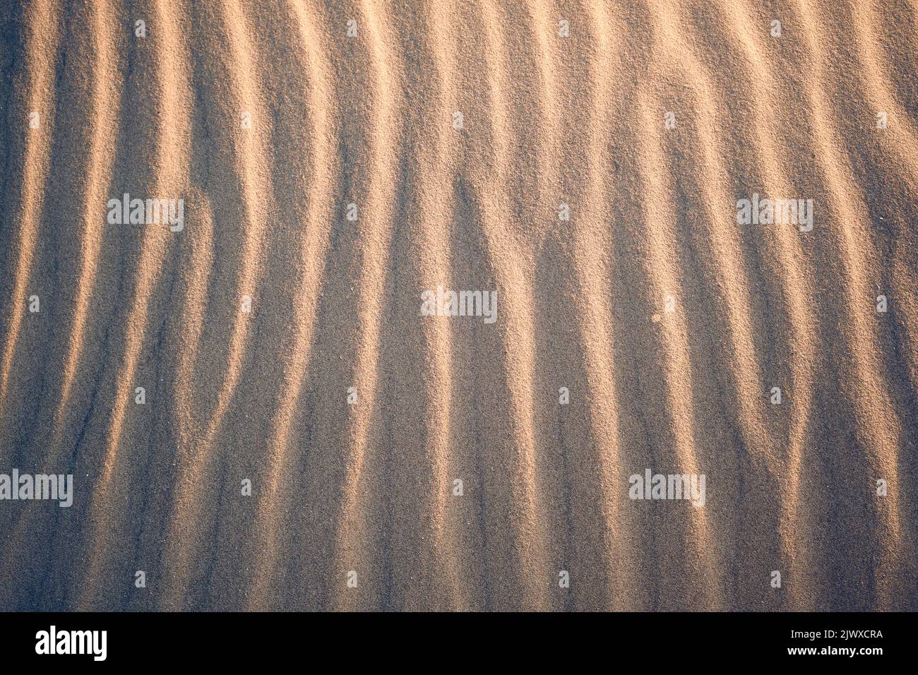 Sand Textur am Strand am Abend. Hochwertige Fotos Stockfoto
