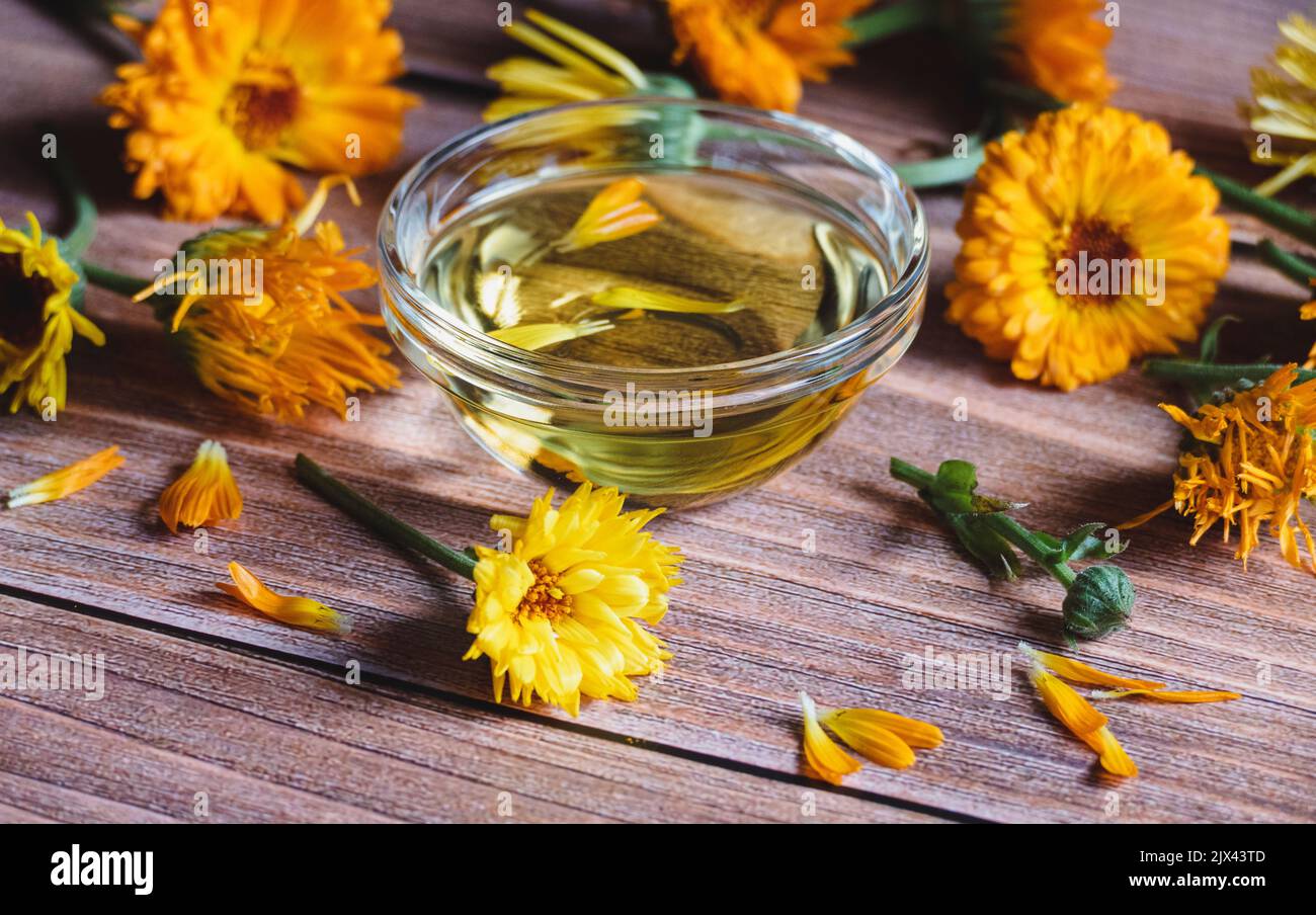 Calendula officinalis Kosmetiköl, getrocknete und frische Ringelblumen auf Holztisch Stockfoto