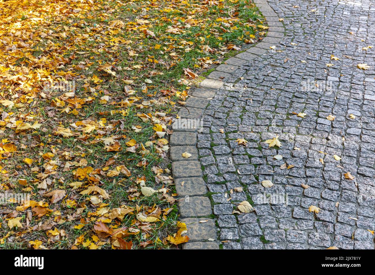 Gewundene gepflasterte Gehweg mit bunten gelben Blättern bedeckt. Abstrakter Herbst Hintergrund. Stockfoto