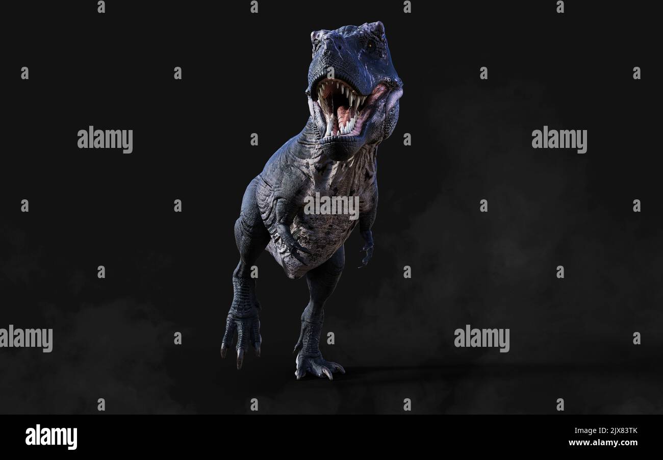 3D Illustration des gefährlichen Tyrannosaurus Rex wirkt und stellt isoliert auf schwarzem Hintergrund mit Clipping Path Stockfoto