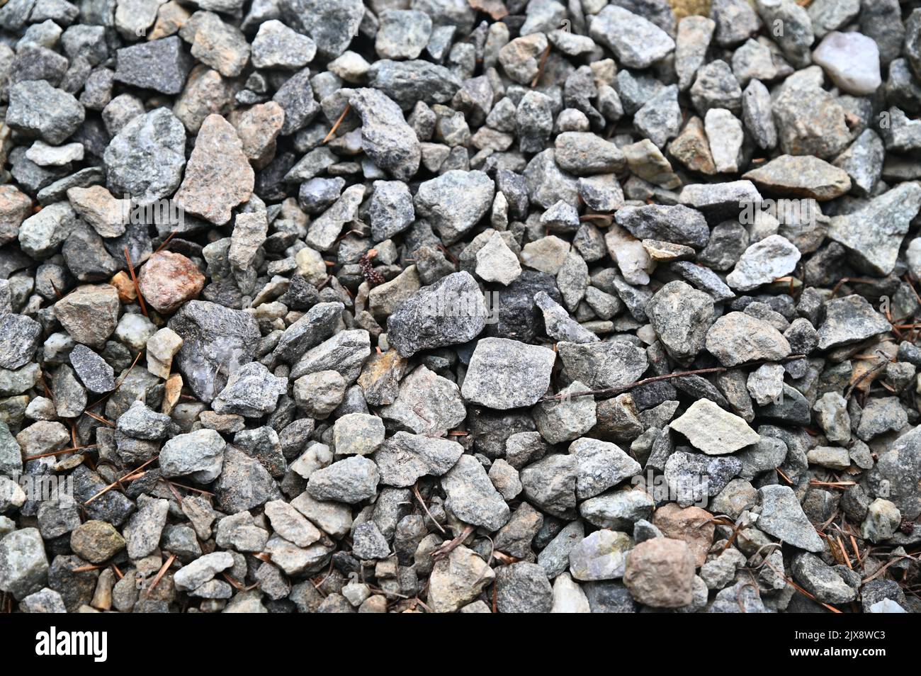 Trockener Kies wird auf den Boden gelegt Stockfoto