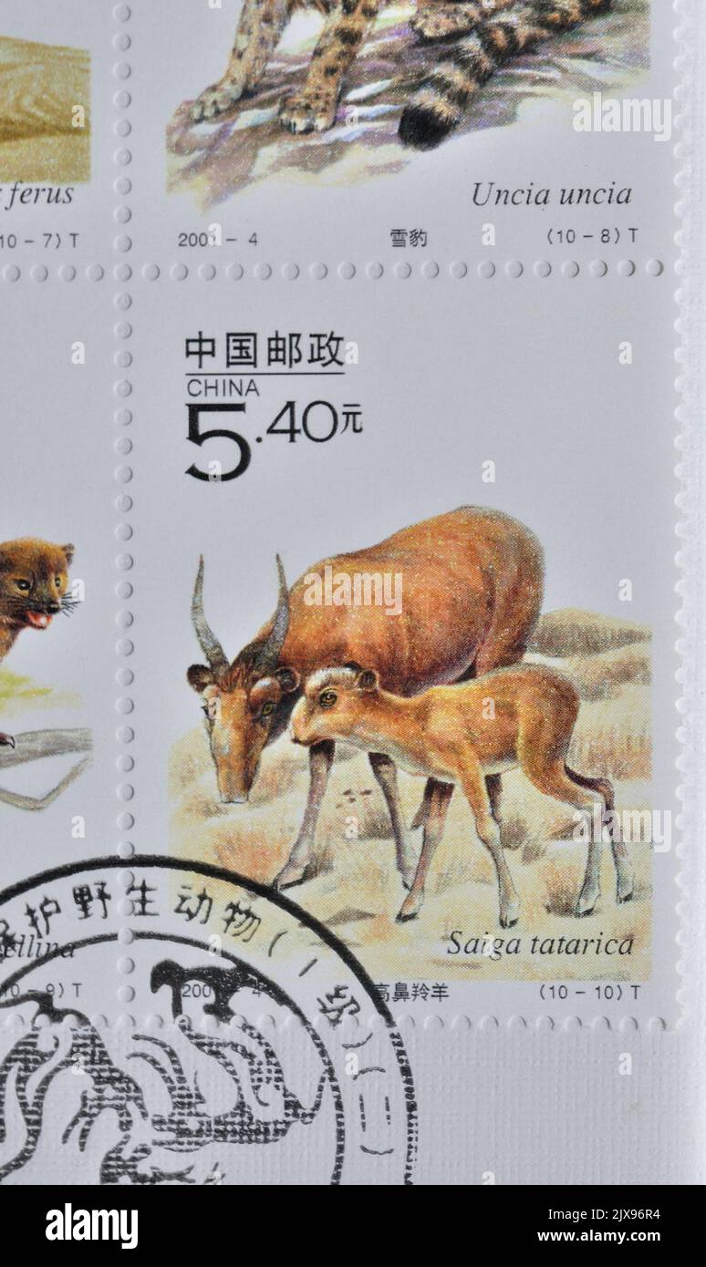 CHINA - UM 2001: Eine in China gedruckte Marke zeigt 2001-4, Scott 3091 Key Wild Animals under First-Grade State Protection in China(II) ,um 2001 Stockfoto