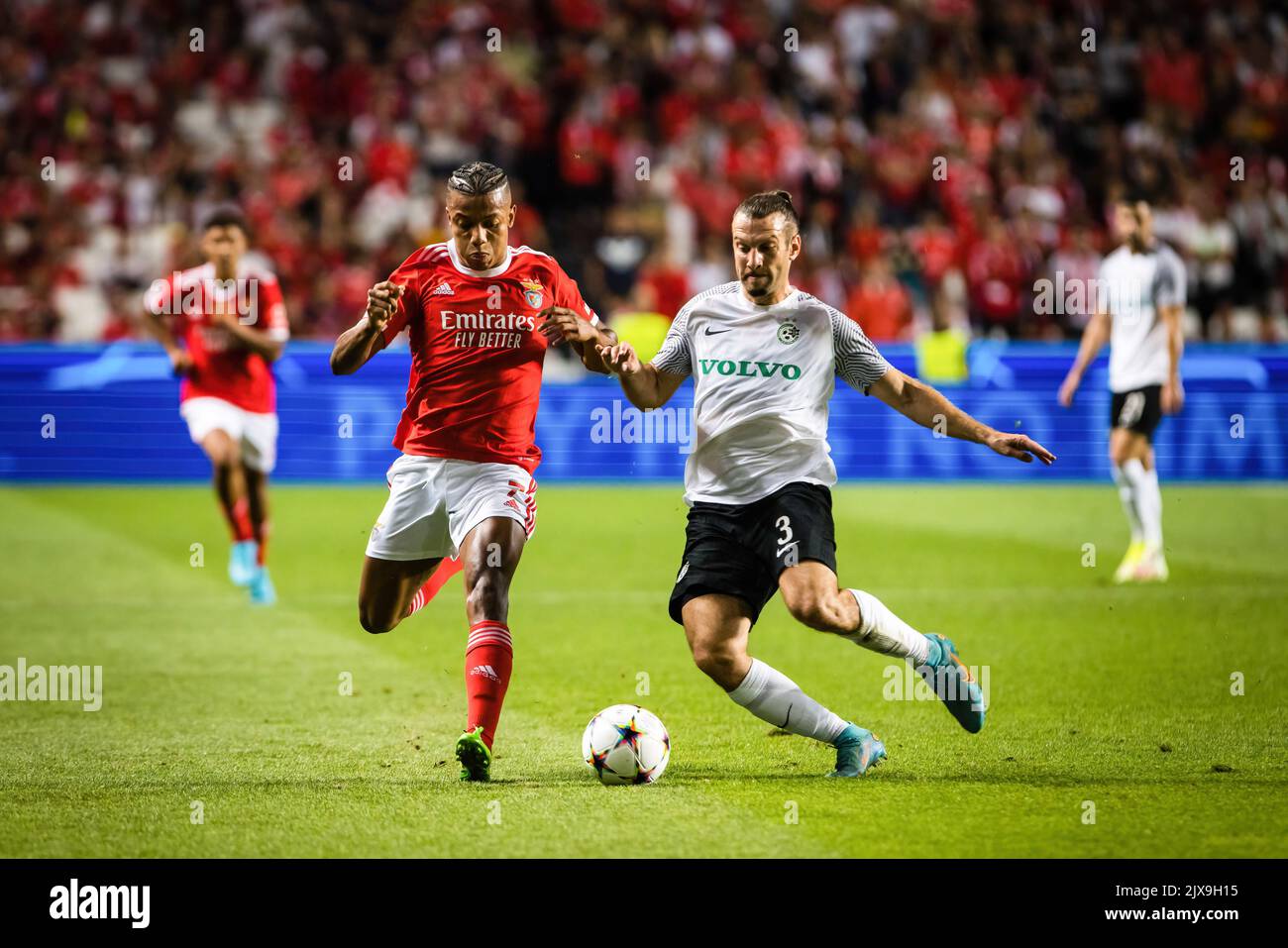 Lissabon, Portugal. 06. September 2022. David Neres von SL Benfica (L) und Sean Goldberg von Maccabi Haifa FC (R) während des UEFA Champions League-Fußballspiels der Gruppe H zwischen SL Benfica und Maccabi Haifa FC im Luz-Stadion. (Endergebnis: SL Benfica 2 - 0 Maccabi Haifa FC) (Foto: Henrique Casinhas/SOPA Images/Sipa USA) Quelle: SIPA USA/Alamy Live News Stockfoto