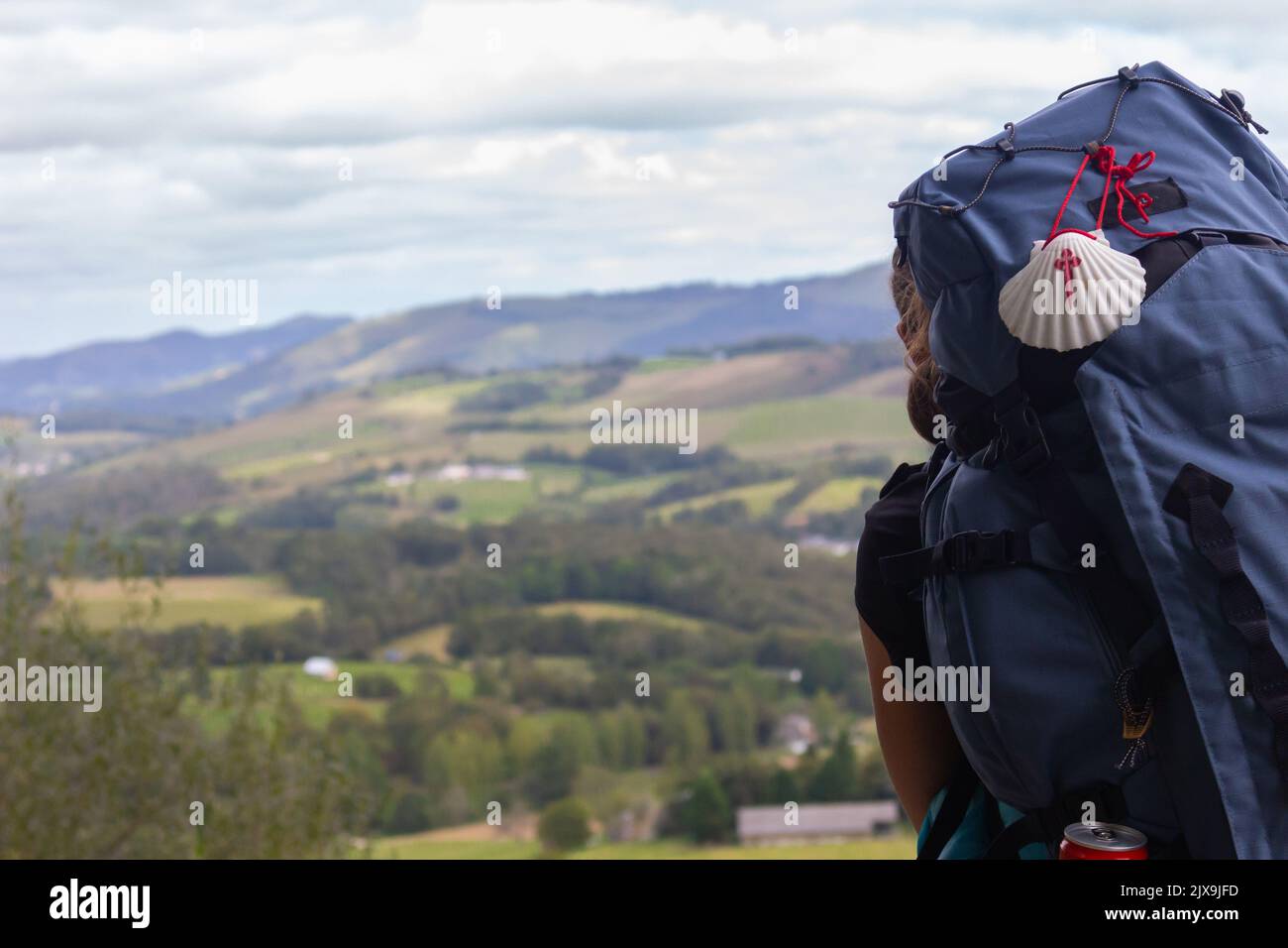 Großer Rucksack mit Pilgermuschel auf Berghintergrund. Pilgerkonzept. Pilger auf der Straße Camino de Santiago. Tourist mit Rucksack von hinten. Stockfoto