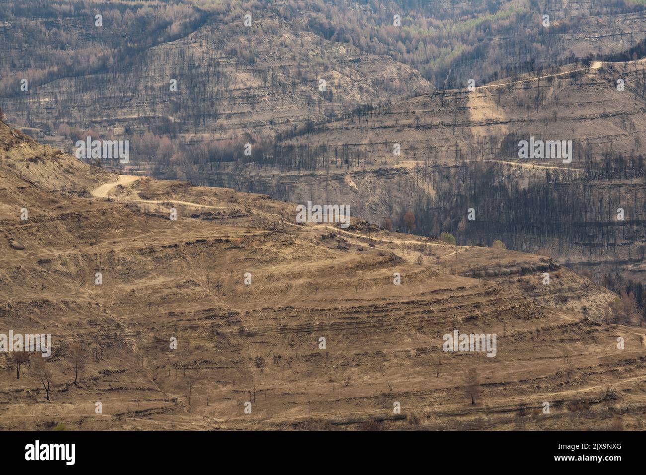 Von der Pont de Vilomara 2022 ausgebrannte Wälder von Manresa aus gesehen (Bages, Barcelona, Katalonien, Spanien) ESP: Bosques quemados por un incendio Stockfoto