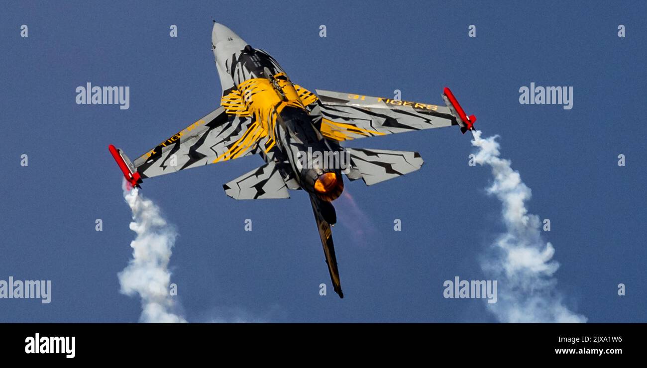 Staffel der belgischen Luftwaffe F-16 31 Stockfoto