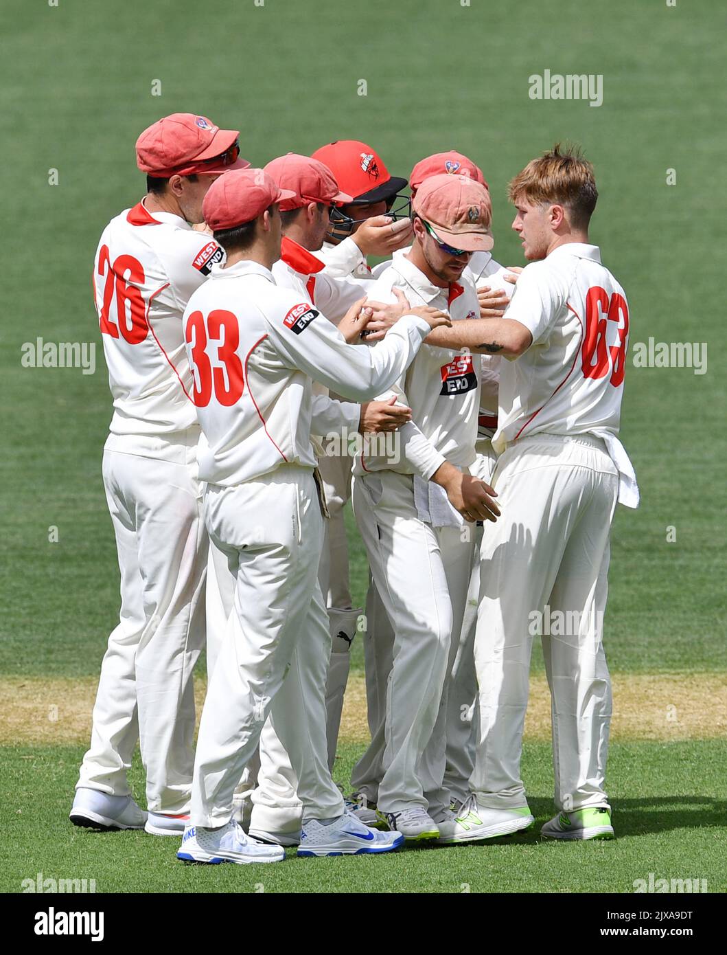 Südaustralische Spieler feiern die Entlassung von Matthew Wade aus Tasmanien am ersten Tag des JLT Sheffield Shield-Spiels zwischen Südaustralien und Tasmanien im Adelaide Oval, Adelaide, Donnerstag, 23. November 2017. (AAP-Bild/David Mariuz) Stockfoto