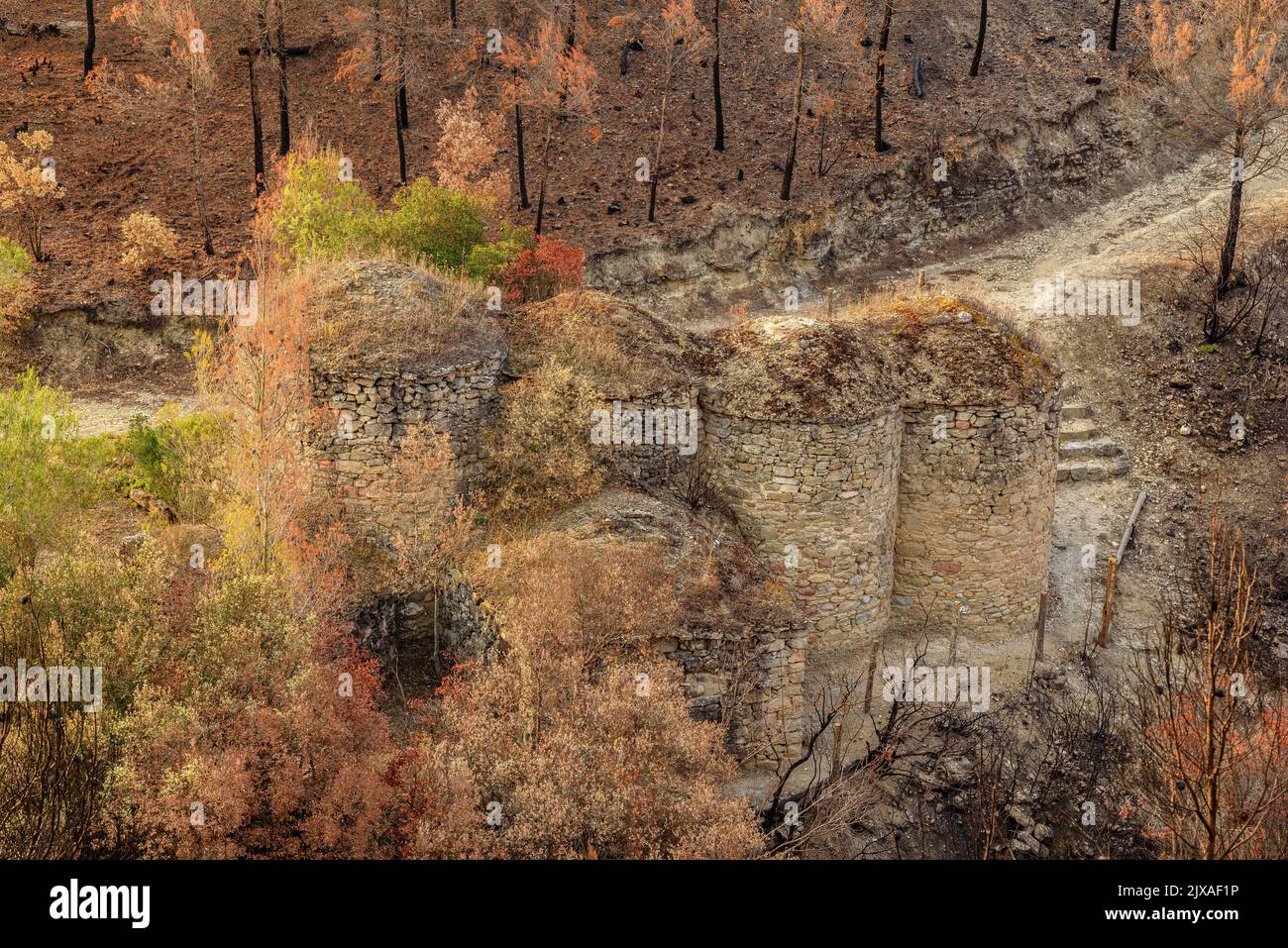 Tubs (Zinken auf katalanisch) und das Flequer-Tal nach dem Brand der Pont de Vilomara von 2022 im Naturpark Sant Llorenç del Munt i l'Obac Katalonien Spanien Stockfoto