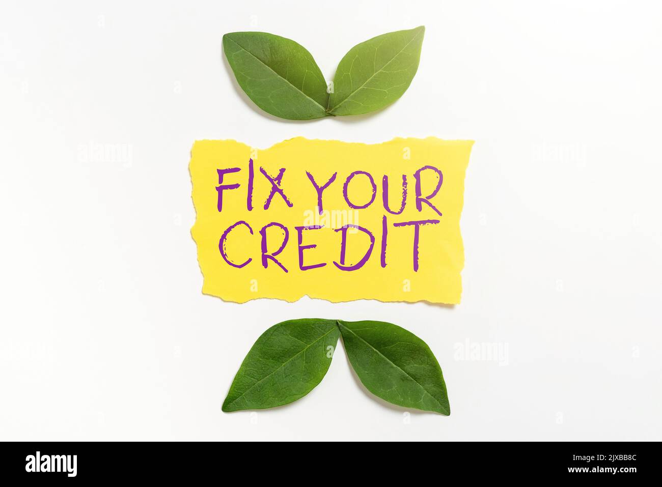 Textunterschrift Presenting Fix your CreditKeep balances low on credit cards and other credit. Geschäftsansatz Halten Sie Guthaben niedrig bei Kreditkarten und Stockfoto