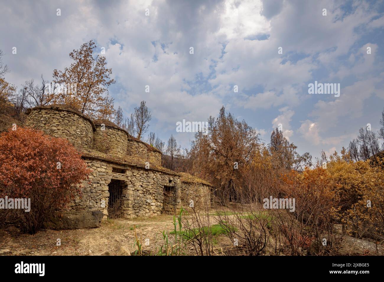 Tubs (Zinken auf katalanisch) und das Flequer-Tal nach dem Brand der Pont de Vilomara von 2022 im Naturpark Sant Llorenç del Munt i l'Obac Katalonien Spanien Stockfoto