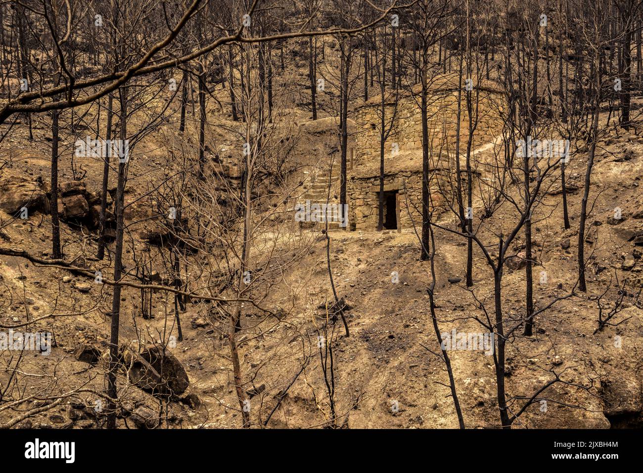 Tubs (Zinken auf katalanisch) und das Flequer-Tal nach dem Brand der Pont de Vilomara von 2022 im Naturpark Sant Llorenç del Munt i l'Obac Katalonien Spanien Stockfoto