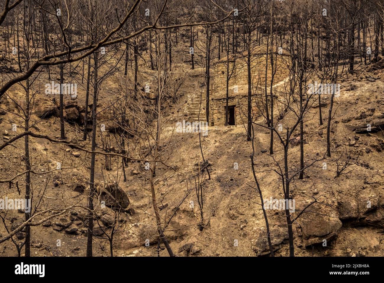 Tubs (Zinken auf katalanisch) und das Flequer-Tal nach dem Brand der Pont de Vilomara von 2022 im Naturpark Sant Llorenç del Munt i l'Obac Katalonien Spanien Stockfoto