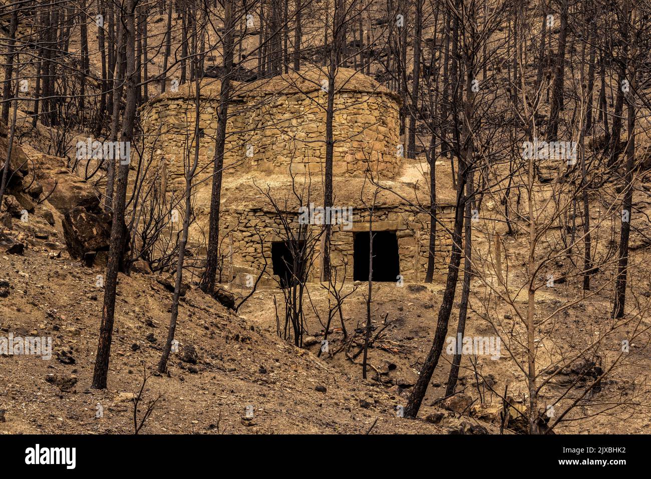 Tubs (Zinken auf katalanisch) und das Flequer-Tal nach dem Brand der Pont de Vilomara von 2022 im Naturpark Sant Llorenç del Munt i l'Obac Katalonien Spanien Stockfoto