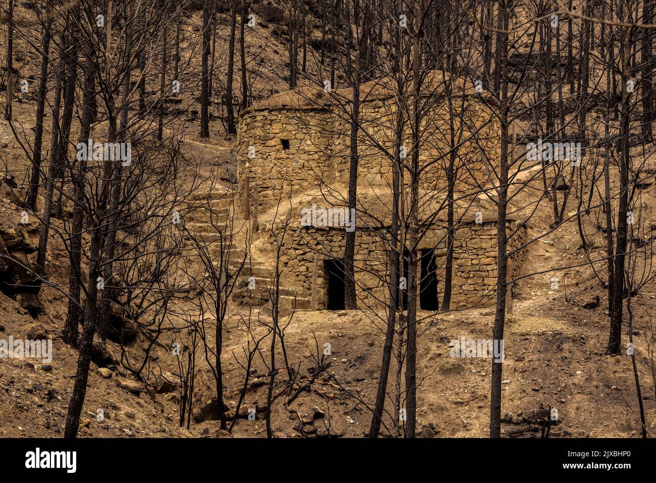 Tubs (Zinken auf katalanisch) und das Flequer-Tal nach dem Brand der Pont de Vilomara von 2022 im Naturpark Sant Llorenç del Munt i l'Obac Katalonien Spanien Stockfoto